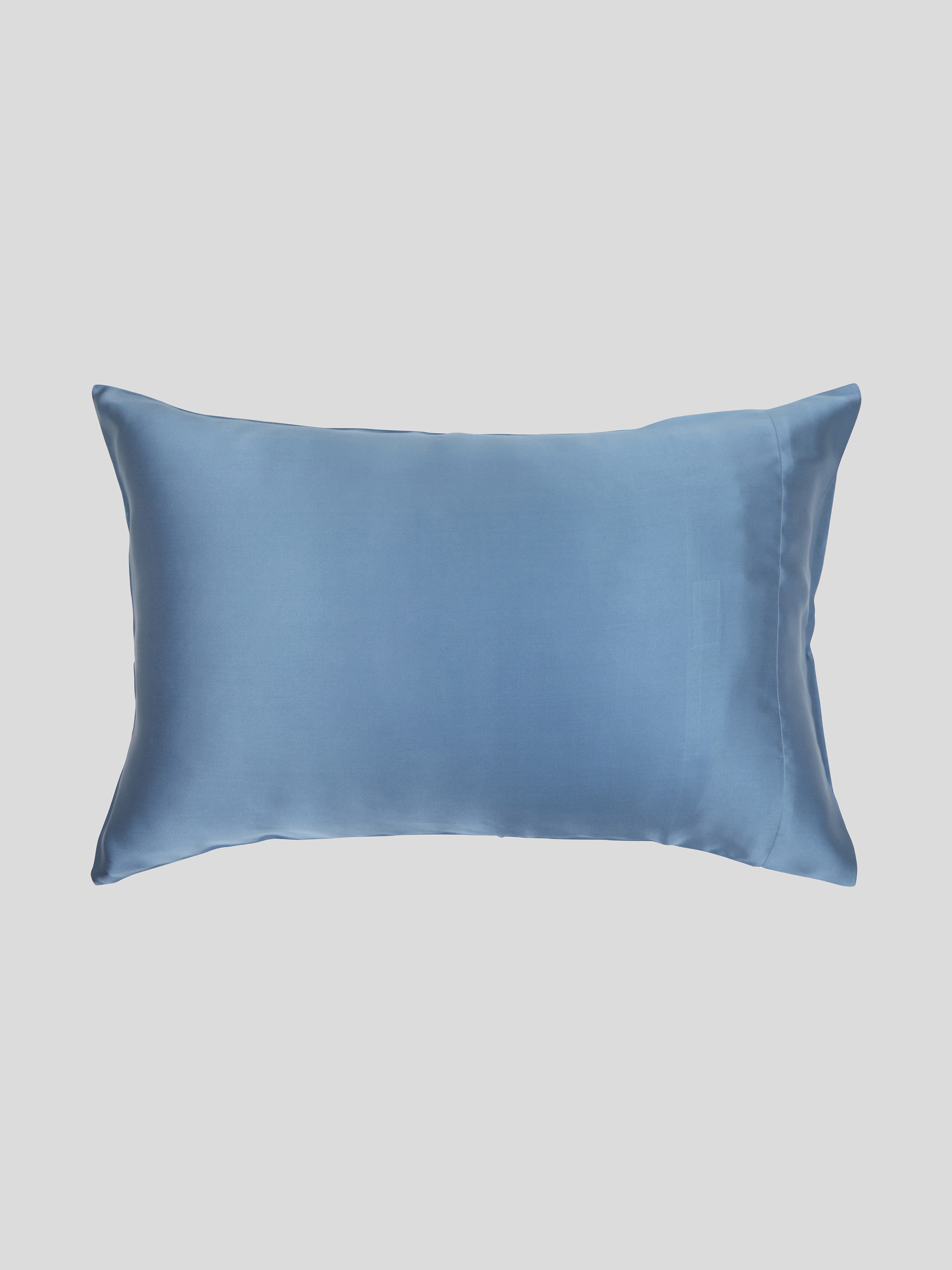 Blue on sale pillow cases